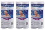 Culligan Whole House Premium Water Filter