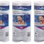 Culligan Whole House Premium Water Filter