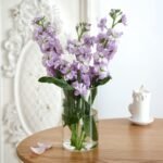 Glass Vases Set Elegant Decor - Image 4