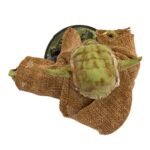 Kurt Adler Yoda Nutcracker - Image 6