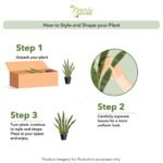 Nearly Natural Agave Plant - Image 4