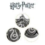 Noble Collection Slytherin Wall Art - Image 5
