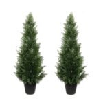 Outdoor Cedar Tree Pair