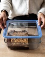 Pyrex Glass Food Storage Container - Image 5