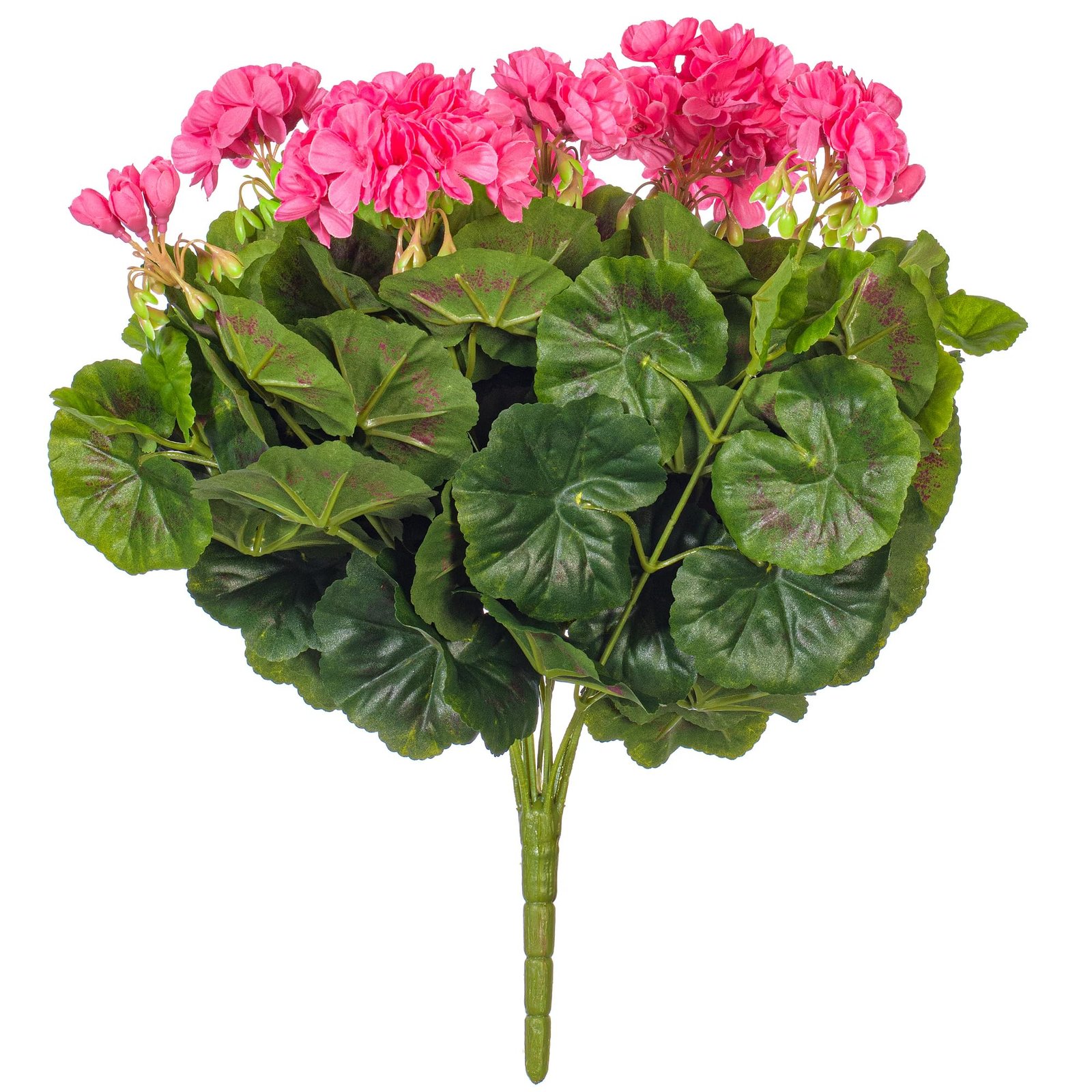 81Fyrl4wK1L.jpg Vickerman Geranium Bush - Image 1